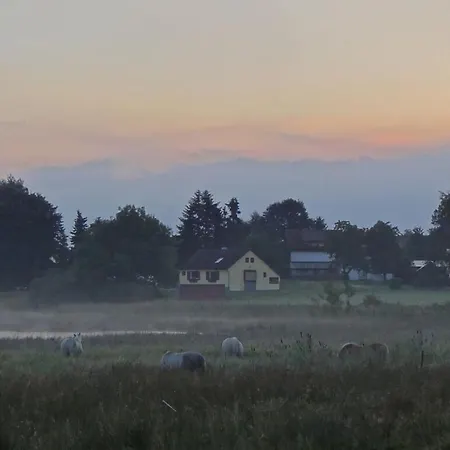 Semesterbostad With 4 Bedrooms